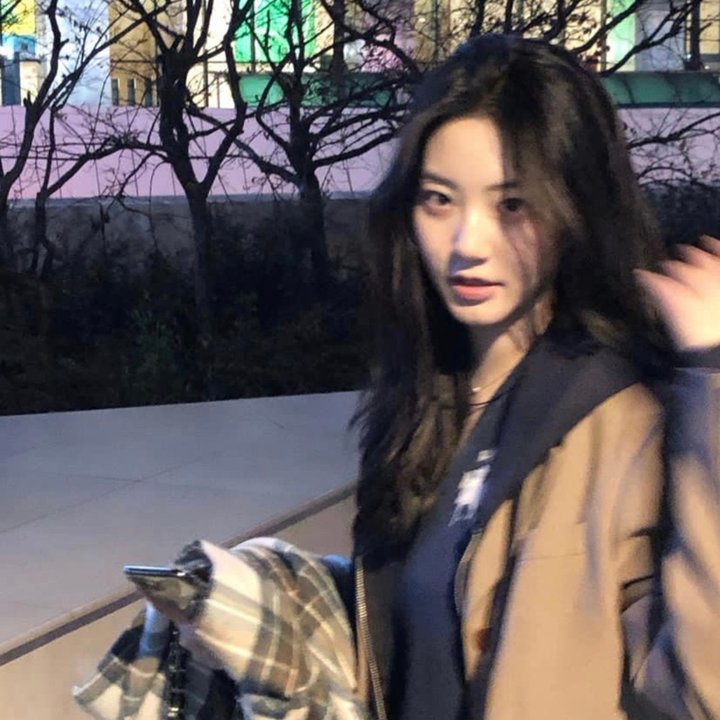 汪星人的奇思妙想