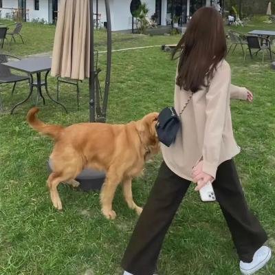 邦尼和琼